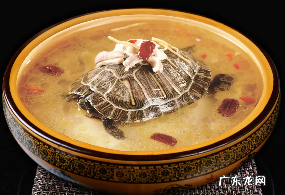 甲鱼汤怎么做好喝又营养