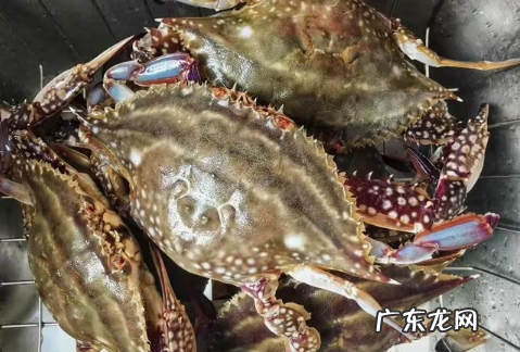 梭子蟹杀好了放冰箱明天烧可以吗