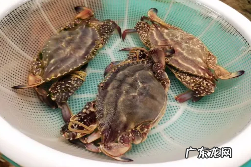 梭子蟹杀好了放冰箱明天烧可以吗