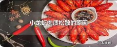 小龙虾肉质松散的原因