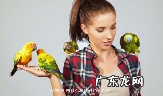 什么的小鸟填空abb词语 什么的小鸟填空abb词语分别有什么呢