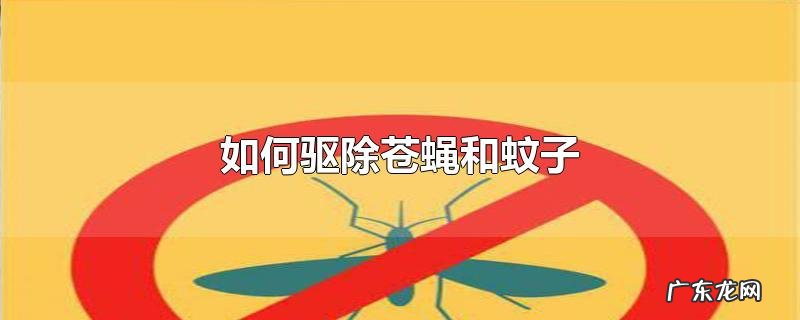 如何驱除苍蝇和蚊子