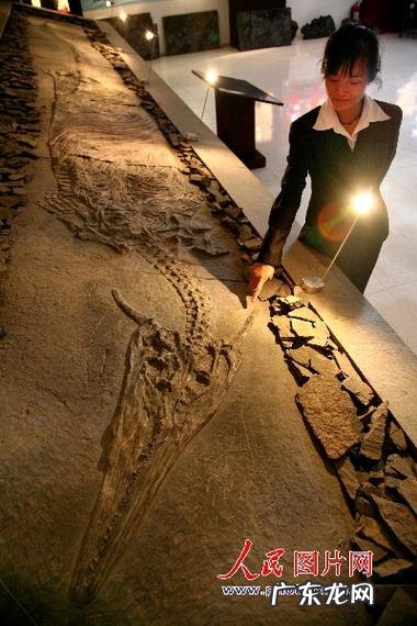 白龙和黑龙哪个厉害 风水中的黑龙和白龙的区别图