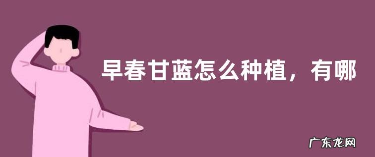 早春甘蓝怎么种植,有哪些技术要点