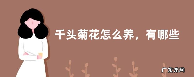 千头菊花怎么养,有哪些要点