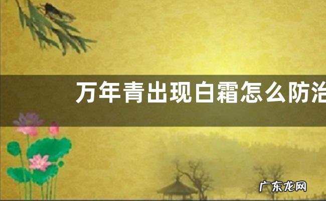 万年青出现白霜怎么防治，附万年青的病害防治