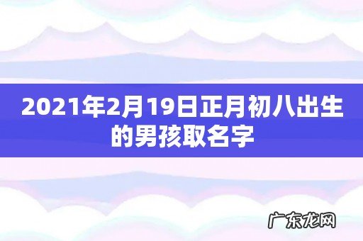 2021年2月19日正月初八出生的男孩取名字