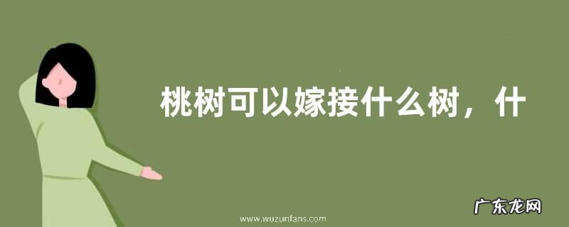 桃树可以嫁接什么树,什么时间嫁接,有哪些嫁接方法