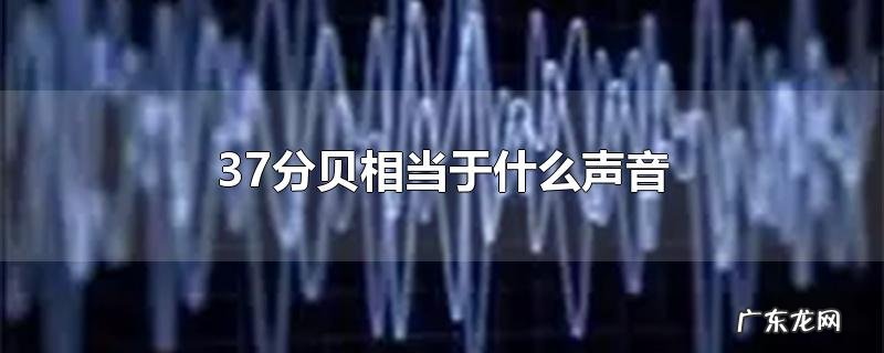 37分贝相当于什么声音