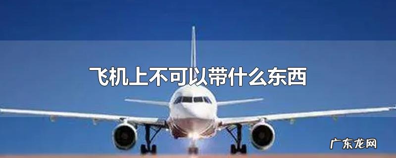 飞机上不可以带什么东西