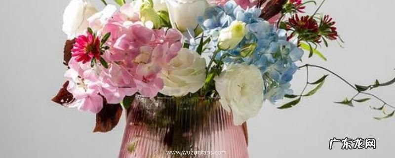 延长鲜花的花期可以放什么,附鲜花保鲜的方法