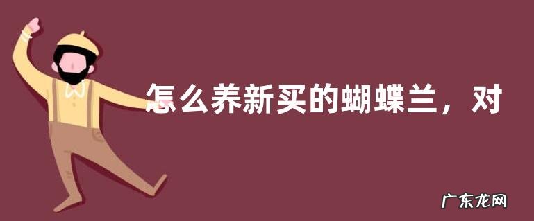 怎么养新买的蝴蝶兰，对光照、水分、肥料等有什么要求