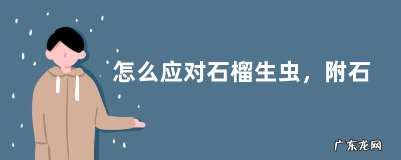 怎么应对石榴生虫,附石榴的种植技巧