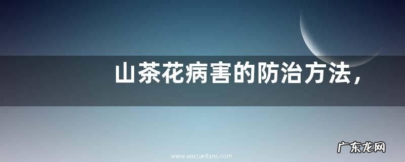 山茶花病害的防治方法,具体可采取哪些措施
