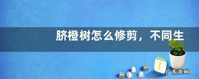 脐橙树怎么修剪，不同生长阶段有不同的修剪方法