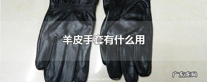 羊皮手套有什么用