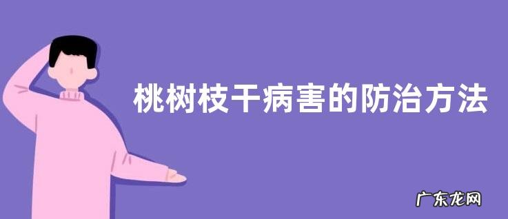 桃树枝干病害的防治方法，关于流胶病和木腐病的介绍