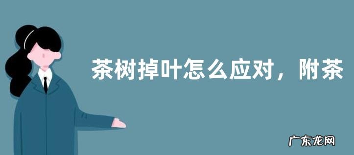 茶树掉叶怎么应对，附茶树的生长习性特点