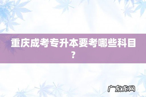 重庆成考专升本要考哪些科目?