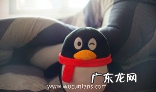 怎么领养qq小冰 如何领养qq小冰