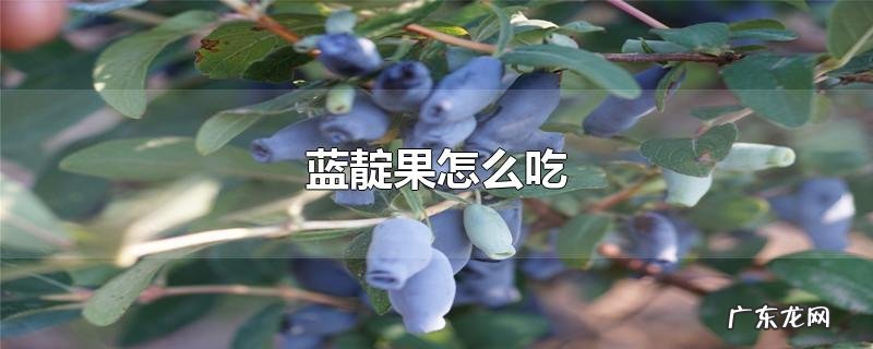 蓝靛果怎么吃