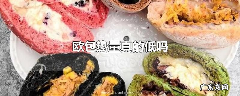 欧包热量真的低吗