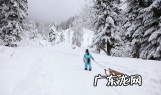 雪在古代的雅称 雪在古代的雅称分别有什么