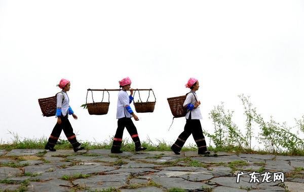 桂林风水龙脉图片