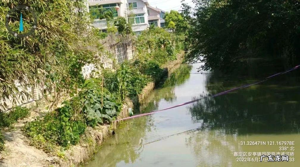 院内种菜影响风水吗 户外种蔬菜风水好吗视频