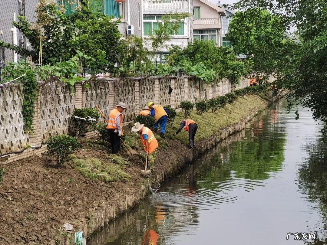 院内种菜影响风水吗 户外种蔬菜风水好吗视频