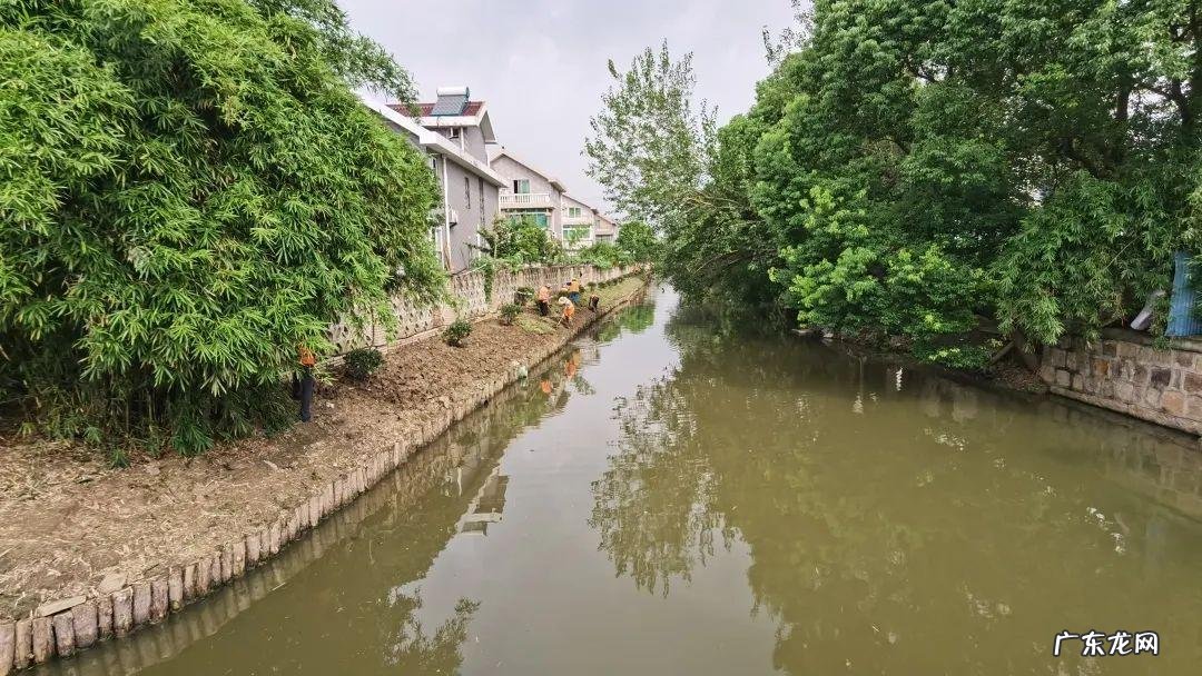 院内种菜影响风水吗 户外种蔬菜风水好吗视频