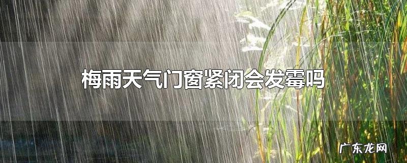 梅雨天气门窗紧闭会发霉吗