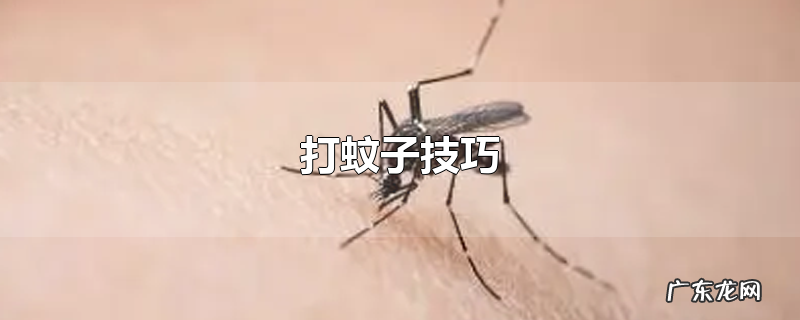 打蚊子技巧