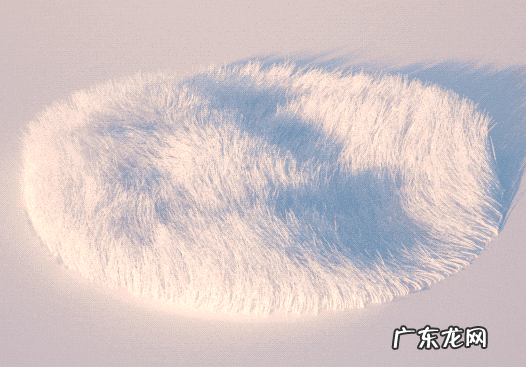 阴毛到底有什么用变白了暗示了什么