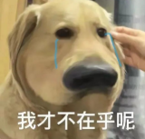 女人玩起情趣玩具有多开放这个答案你们可能想不到. . .