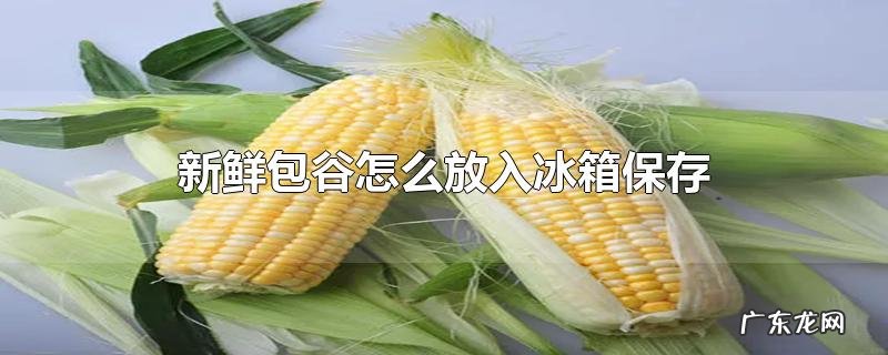 新鲜包谷怎么放入冰箱保存