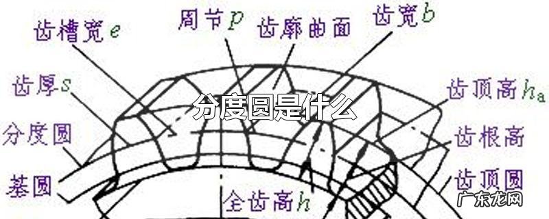 分度圆是什么