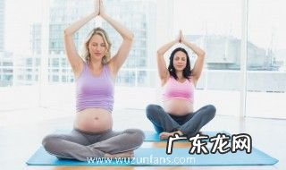 瑜伽垫有味道怎么处理 瑜伽垫有味道的处理方法