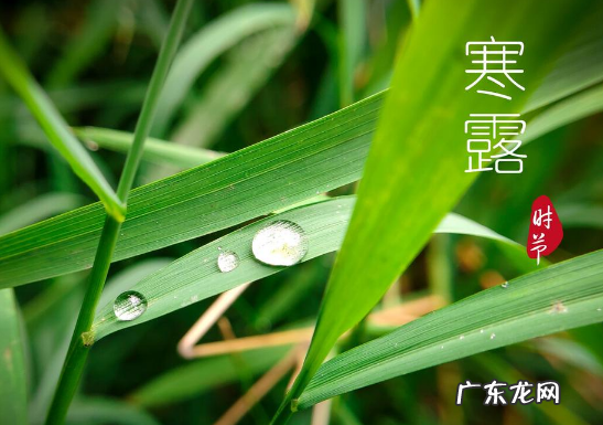 2022年寒露可以搬家吗