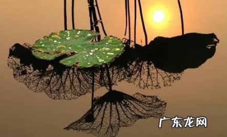 2022年寒露可以搬家吗