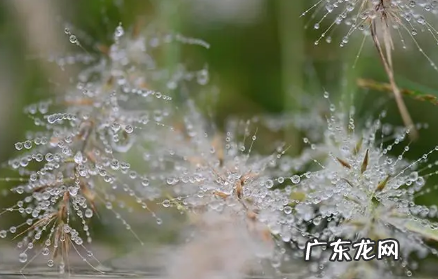 2022年寒露可以搬家吗