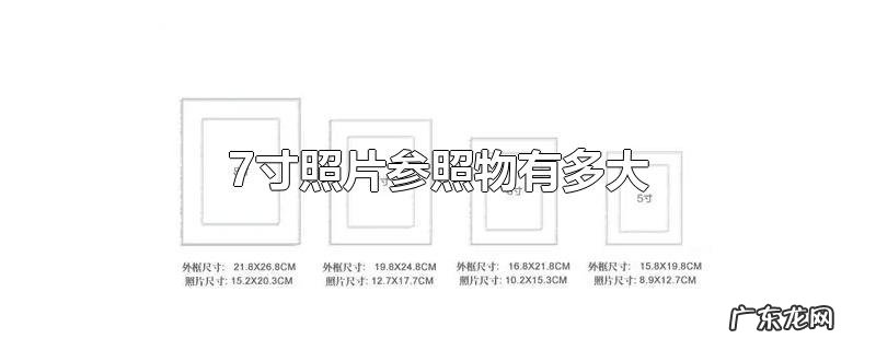 7寸照片参照物有多大