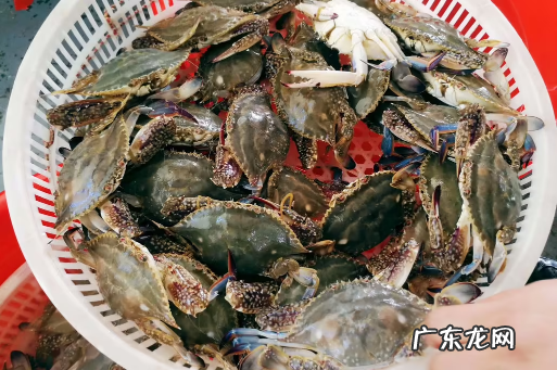 网上买梭子蟹是活的还是死的