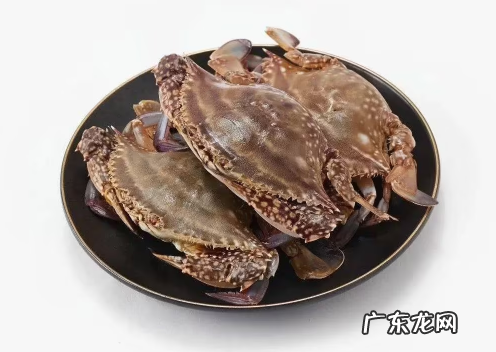 网上买梭子蟹是活的还是死的