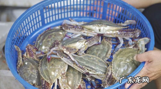 网上买梭子蟹是活的还是死的