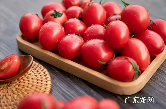 特别爱吃西红柿的原因是什么