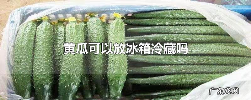 黄瓜可以放冰箱冷藏吗