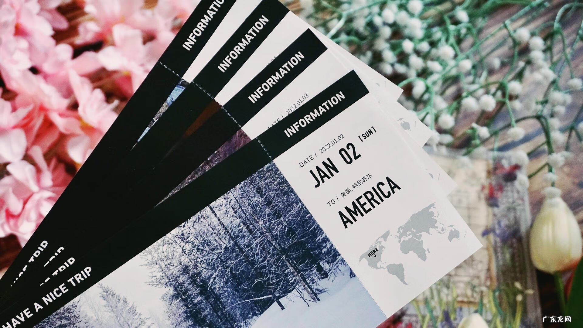 2022年新出的挂历 风水挂历2022