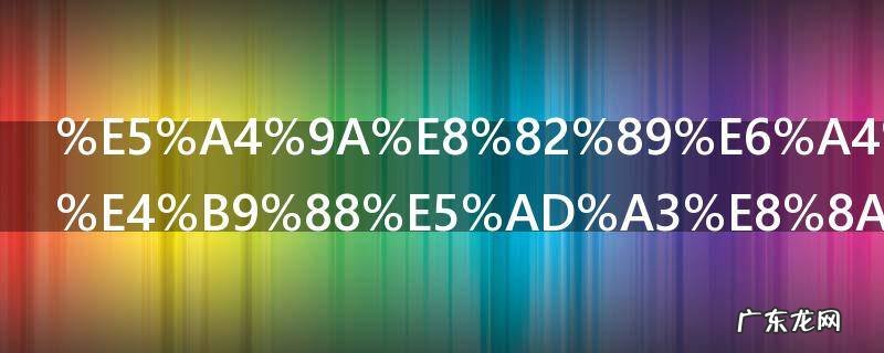 多肉植物什么季节种植 多肉植物什么时候种植