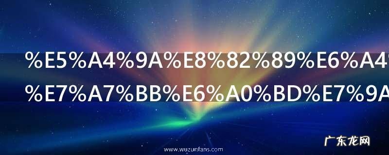 多肉植物刚移栽的几天后可浇水 新栽多肉植物上盆后的浇水技巧